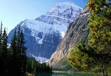 德国杯转会期再迎强敌，巴黎圣日耳曼状态回暖，主帅态度——引发热议，资深球员宣示担当的简单介绍-完美平台