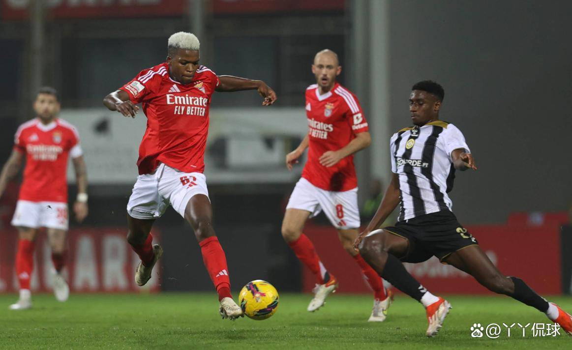 集结日葡超焦点战，深圳男篮完成体检，赛场秩序良好，细节决定成败的简单介绍